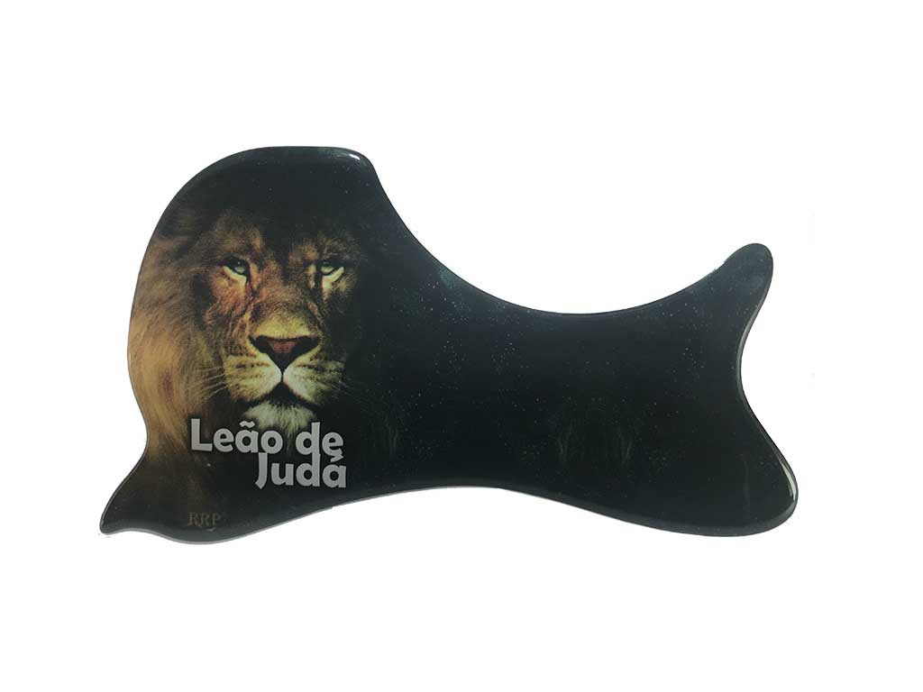 escudo-dns-5