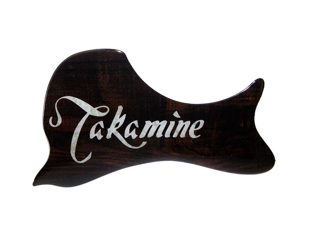 escudo-dns-takamine