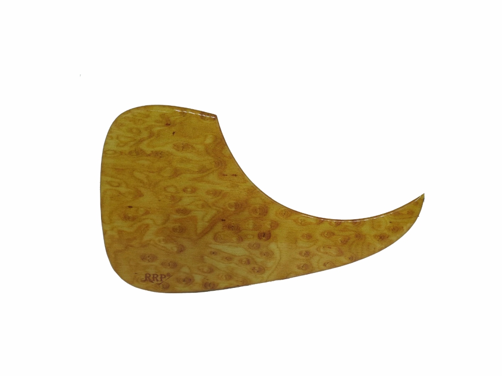 Escudo Maple Bird eye 1